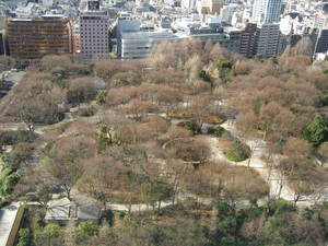 17Fから新宿中央公園見下ろす.JPG