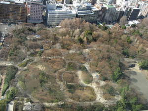 34Fから新宿中央公園をみ下ろす.JPG