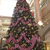 
                横浜ランドマークタワーのクリスマスツリー
                